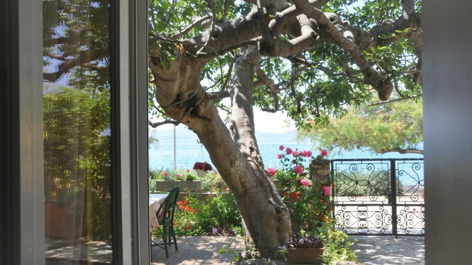 Apartments Matesic Zara Croazia